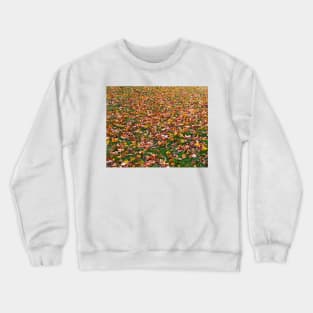 Autumn Leaves Crewneck Sweatshirt